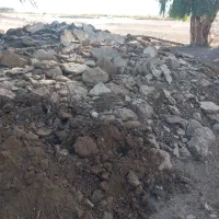 کود گاو گوسفند قاطی|لوازم جانبی حیوانات|جیرفت, |دیوار