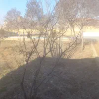 زمین تجاری جای مغازه در چلب وردی