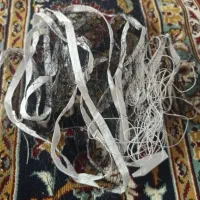 تور بدمینتون