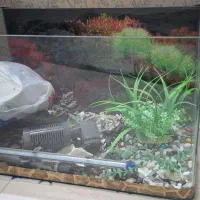 اکواریوم با وسایلاش