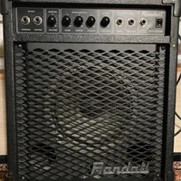 آمپ رندال Randall 30 وات مدل RB30XM