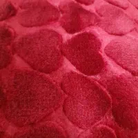 وام پاسارگاد