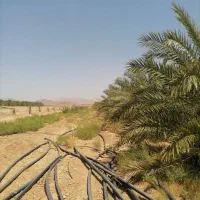 موتور آب|فروش زمین و ملک کلنگی|ارزوئیه, |دیوار