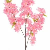 فروش گل های شاخه ای