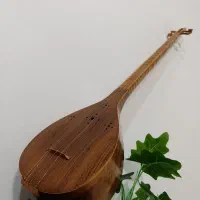 سه تار قدیمی به همراه سافت کیس چرمی