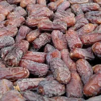 کبکاب وپیارم باتخفیف ویژه