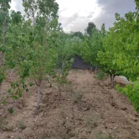 معاوض ویلاییوآپارتمان باضافه پول|فروش خانه و ویلا|زرندیه, |دیوار