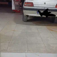 سورن توربویی تو پر استیل