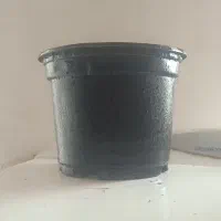 گلدان ژله ای سایز۱۲