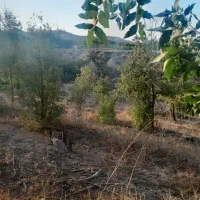 باغ ۱۱۰۰ متری با ویو رودخونه فنس کشی شده|فروش زمین و ملک کلنگی|خلجستان, |دیوار