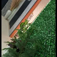 اجاره اتاق درداخل کلینیک