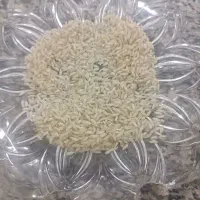 برنج عنبر بو خوش طعم و خوش بو