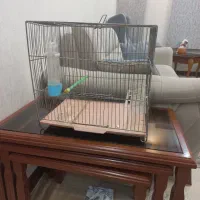 قفس ۱۰۳۳ با پایه وکلبه ای و معمولی