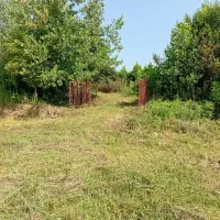 فروش-زمین-250-متری-باغات-روستایی