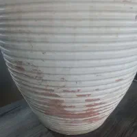 گلدون بزرگ|گل و گیاه طبیعی|مشهد, سعد آباد|دیوار