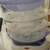 بخارپز سانی