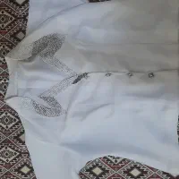 کت دامن مجلسی