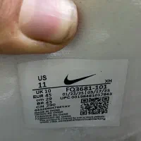 کتونی والیبال جیانیس ۴ سایز ۴۵|کیف، کفش، کمربند|چمستان, |دیوار