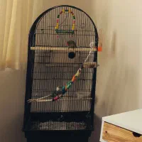 قفس ۱۰۳۴|لوازم جانبی حیوانات|مشهد, جاهد شهر|دیوار