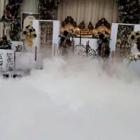 دیجی ملکه+زوج هنرمند+نوازنده+باندونور+خانم و آقا|خدمات پذیرایی، مراسم|مشهد, سید رضی|دیوار