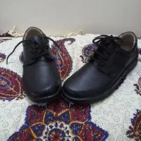 کفش شاهین|کیف، کفش، کمربند|اصفهان, مولوی|دیوار