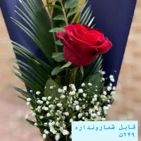 گل روزمادر