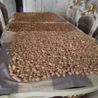 بادام تازه نیمه کاغذی و بادام سنگی،ارگانیک