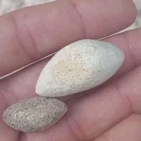 گوشی مسافتی|موبایل|مشهد, پورسینا|دیوار