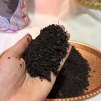 چای سیاه