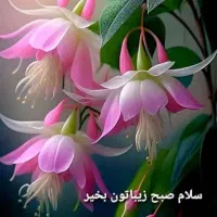 بلیط کنسرت علیرضا قربانی یکشنبه اهواز