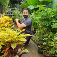 گیاهان غول پیکر در گلخانه