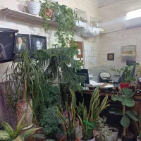 تاکسی تلفنی پرستو|استخدام حمل و نقل|قم, قلعه یزدیها|دیوار