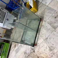 اکواریوم|ماهی|خرم‌آباد, |دیوار