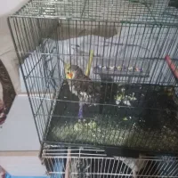 سلام به تمام عشق بازان