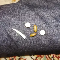 مهره|کلکسیون اشیاء عتیقه|شیراز, بازار|دیوار