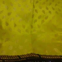 شلوار