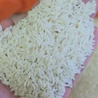 پخش/برنج/|عمده‌فروشی|تهران, شهرک هما|دیوار