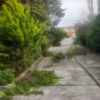 تمیز کاری نظافت منزل ویلا مسکونی تجاری