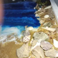 تابلوی رزین دریا|تابلو، نقاشی، عکس|قزوین, |دیوار