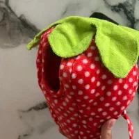 لونه پرنده طرح توت فرنگی|لوازم جانبی حیوانات|تهران, شوش (باغ آذری)|دیوار