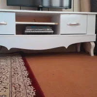 زیر تلویزیونی