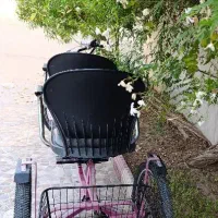 فروش سه چرخه دو نفره صورتی|دوچرخه، اسکیت، اسکوتر|شیراز, پادگان ولیعصر|دیوار