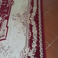 قالی۱۲ متری|فرش|چالوس, |دیوار