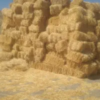 با بسته بندی خوب حتی یدونه هم باز نیس