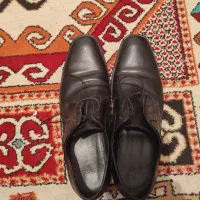 کفش مجلسی