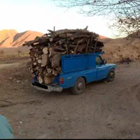 انواع و اقسام مختلف چوب