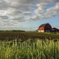 فروش مغازه در حوالی گیلاوند