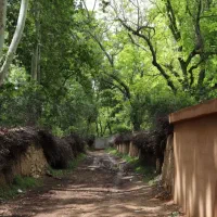 باغشهری مجموعه فدک /لوکیشن دنج/دیوار دور