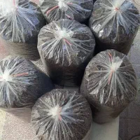 کشمش افتابی بش زرقان