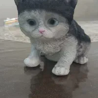 دکوری با قیمت مناسب